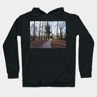 Lovely path and walk in the woods Hoodie